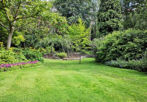 Optimiser l'expérience du jardin à Saint-Genies-Bellevue